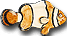 Click on the Image to see a better resolution Image