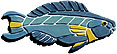 CLICK HERE TO SEE A DETAILED IMAGE