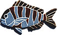 CLICK HERE TO SEE A DETAILED IMAGE