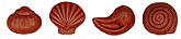 Click on the Image to see a better resolution Image