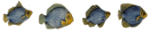 Click on the Image to see a better resolution Image